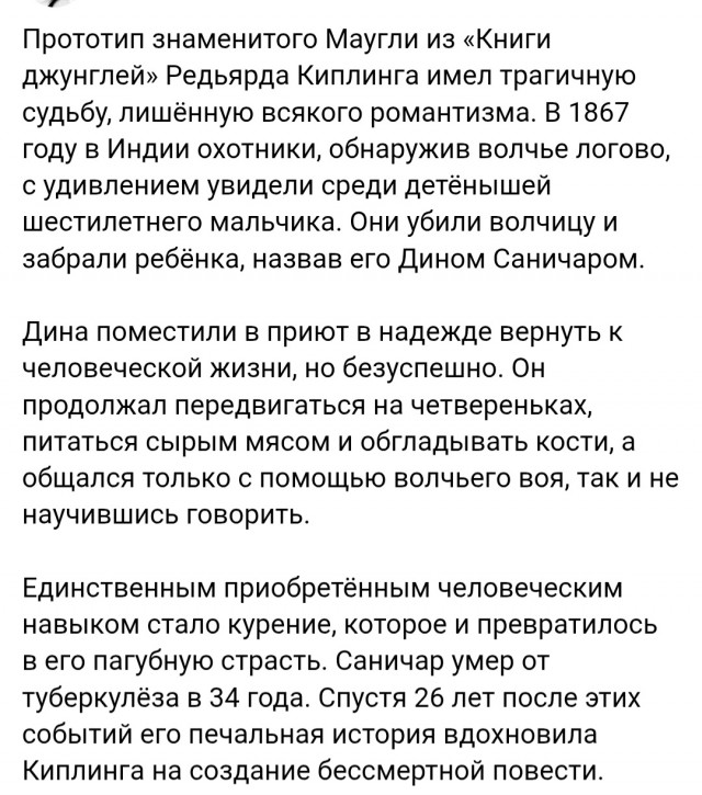 Картиночки, баянчики 12 января