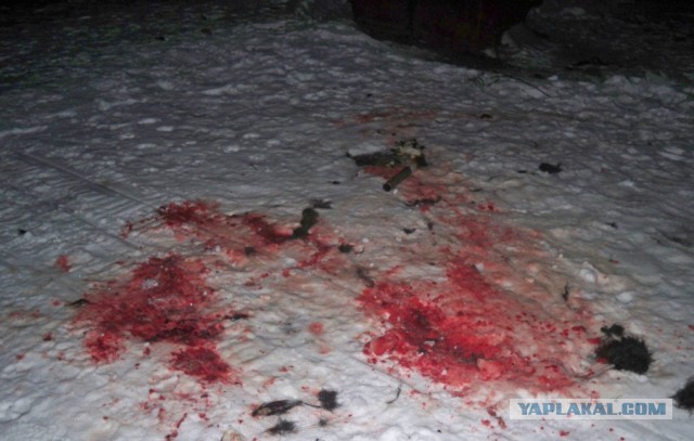 Cтанция Валькаркай