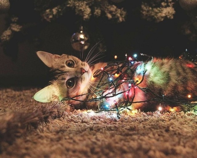 Картиночки на 15.01.2026