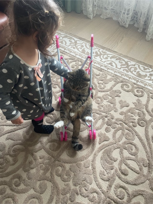 Всем Здравствуйте