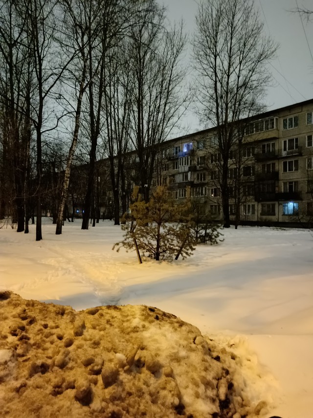 И вот приходит весна.