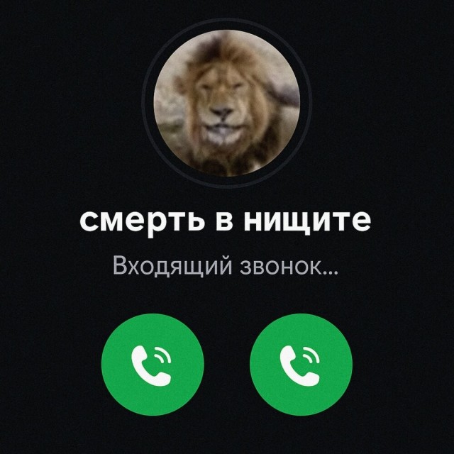 Ох уж эти халявщики