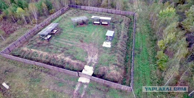 Жительницу села Новоключи Светлану Панину, у которой 13 марта изъяли 200 голов скота, задержала полиция