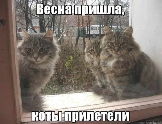 Весна ПРИШЛА!