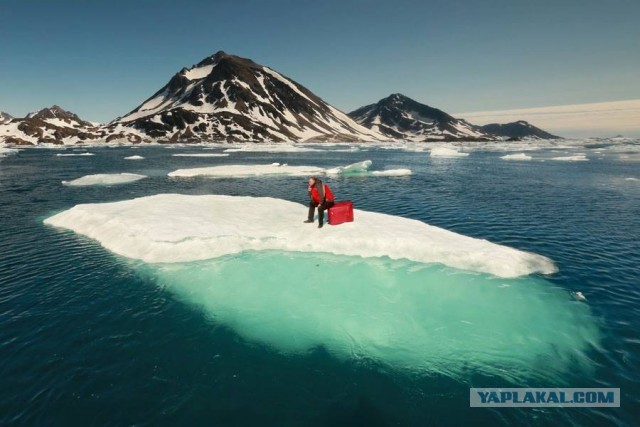 Красота! Лето на Ямале. Фото