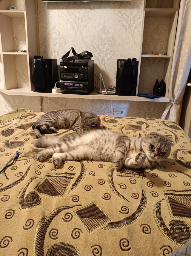Всем доброго времени суток!