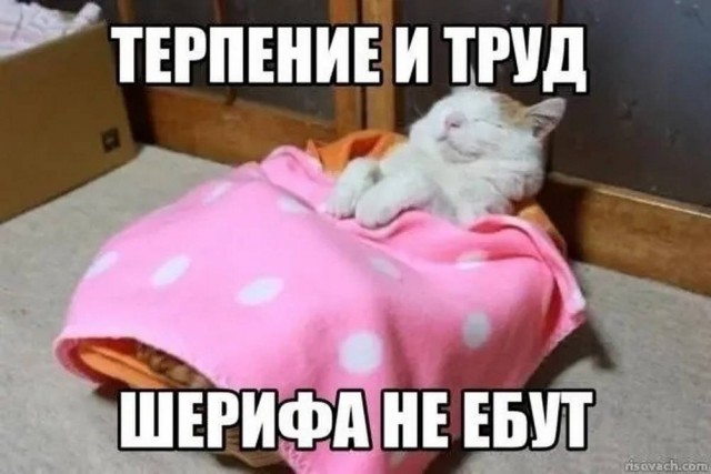 Веселые картинки в пятницу (10.07)