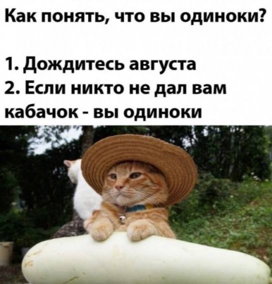 Одиночество полезно