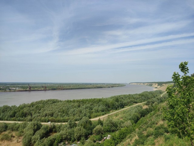 Нашёл камень, похожий на моляр мамонта.