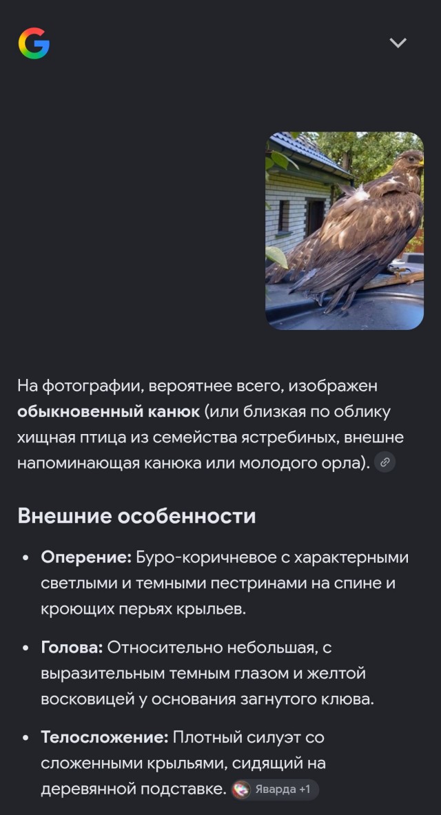 Помощь зала...