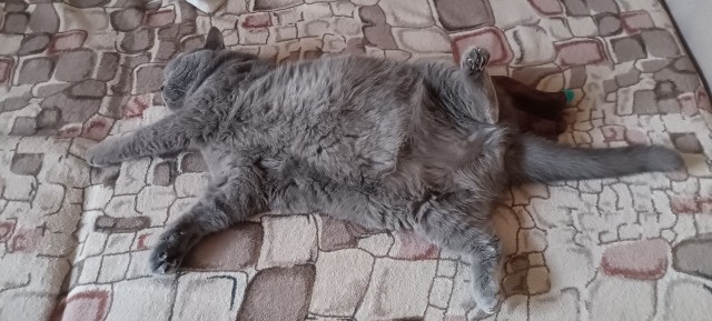 А как вы спите?