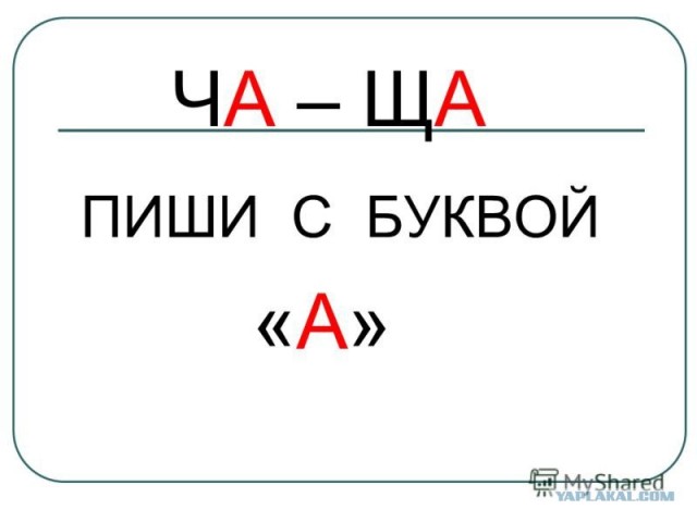 В Питере студентка три недели проучилась в университете им. Герцена, взяла кредит на учёбу, а потом