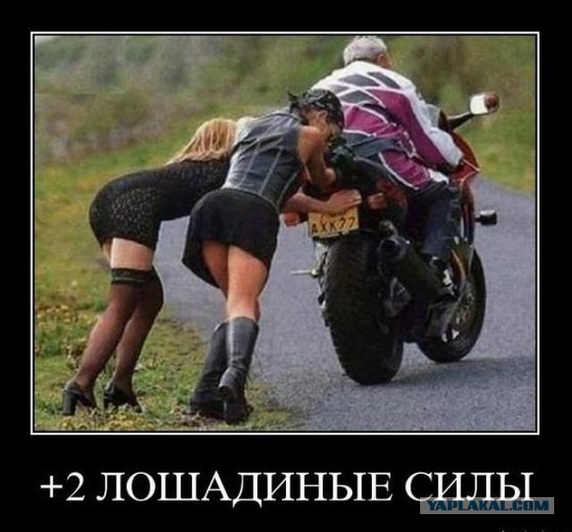 Какой вид!