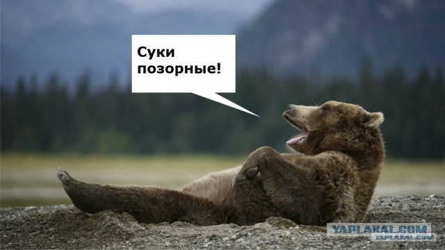 Новый мидвет!