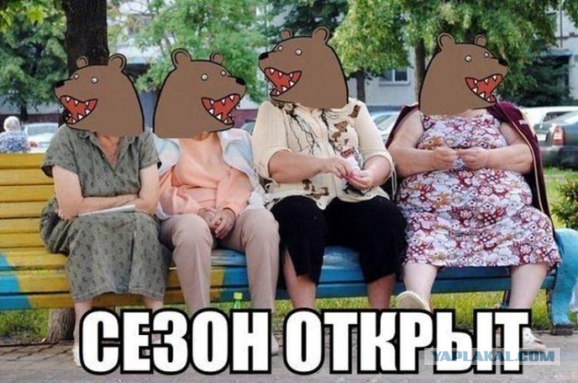 За что сжигали ведьм?