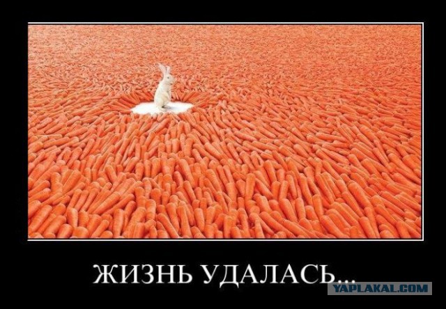 Поднимаем настроение