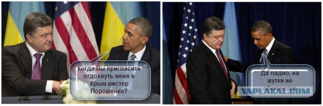 Генассамблея. Реакция в соцсетях