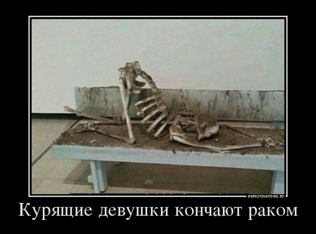 Веселые картинки