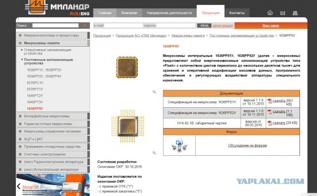 Боль и позор в прямом эфире