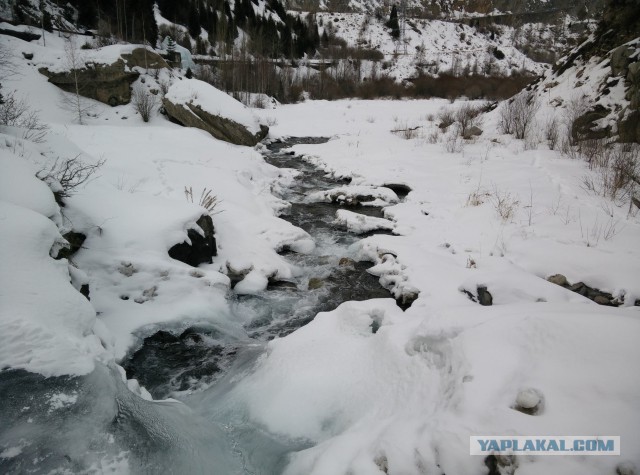 Ташкент, 2 января