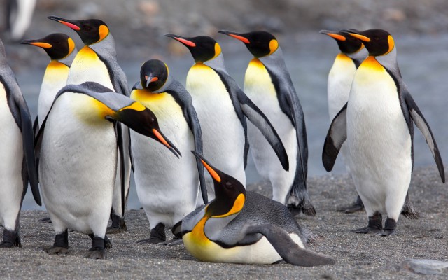 Интересная фотоподборка