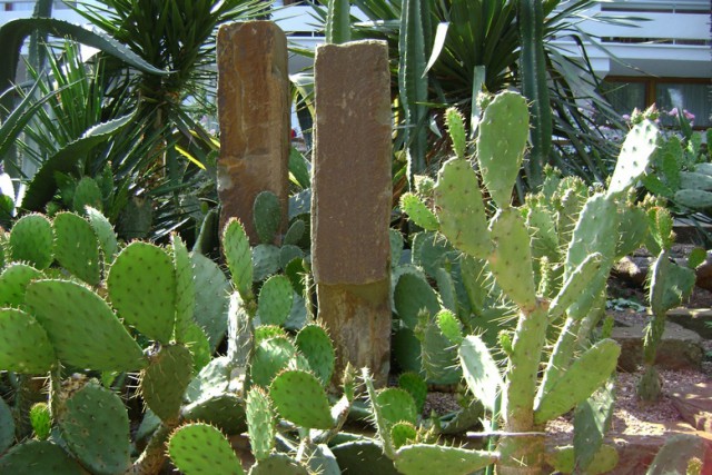 Крым как он есть