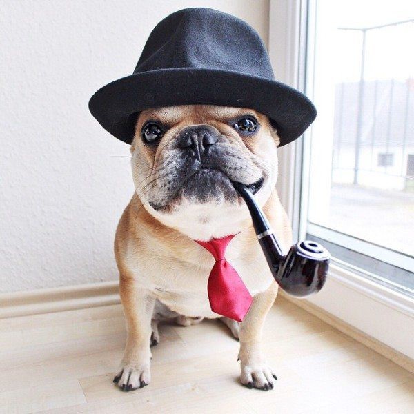 Подборка картинок