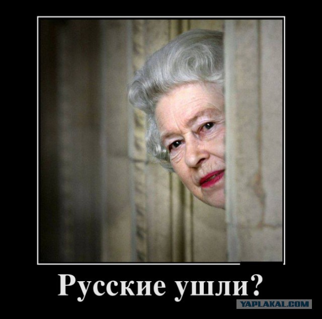 Котика не возьмёте?