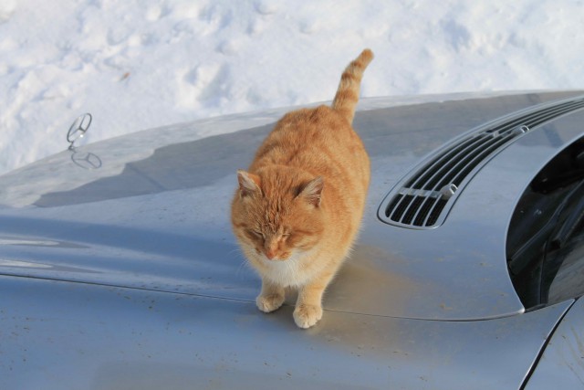 Помощник