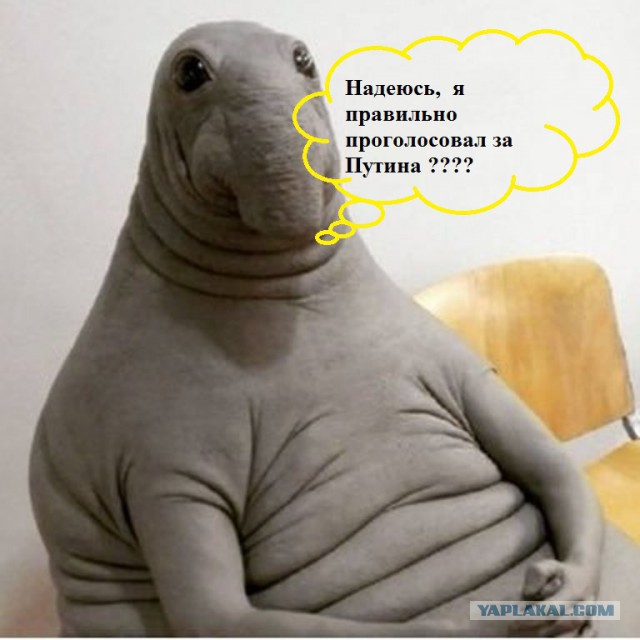 Митинг в Беларусии