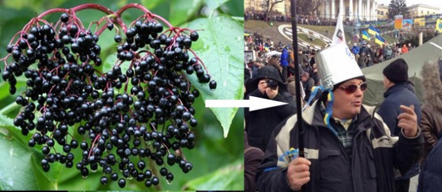 Опасная еда, которая моментально вас убьёт.