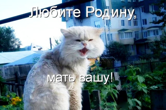 Подборка интересных и веселых картинок