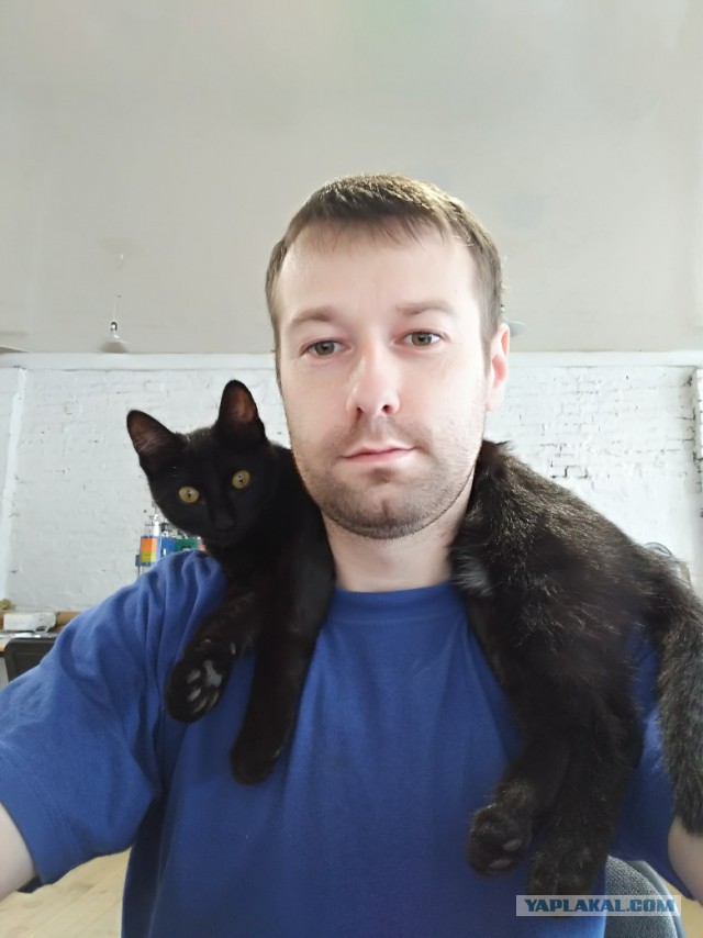 20 шикарных фотографий, в которых вся суть котов