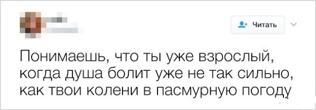 Доказательства того, что взрослая жизнь — настоящий аттракцион безумия