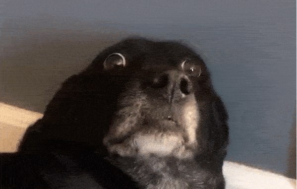 Когда жену спрашиваешь, куда делись деньги?