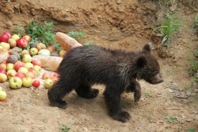 Не люблю папарацци!