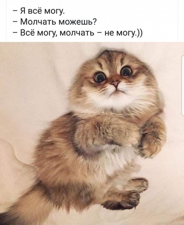 Немного картинок для настроения