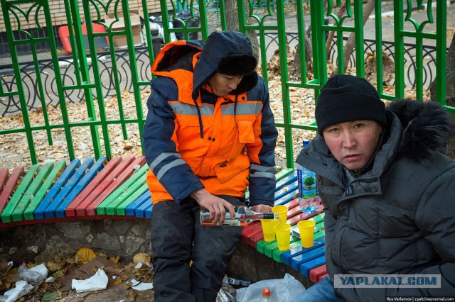 Вы уважаете труд дворников?