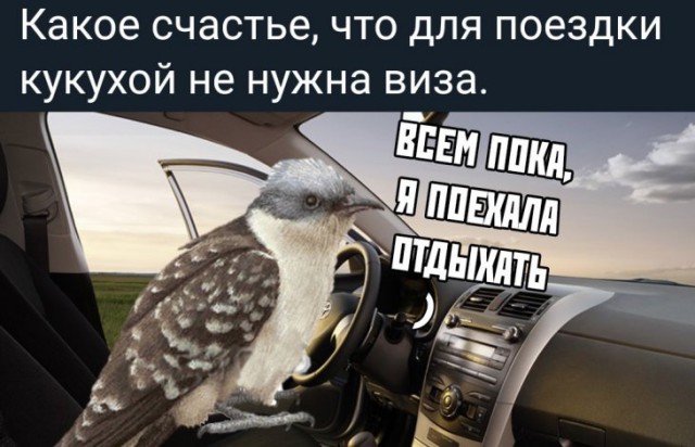 Немного картинок для настроения