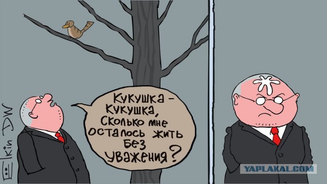 На главу ЦИК Эллу Памфилову напали у нее дома и ударили электрошокером