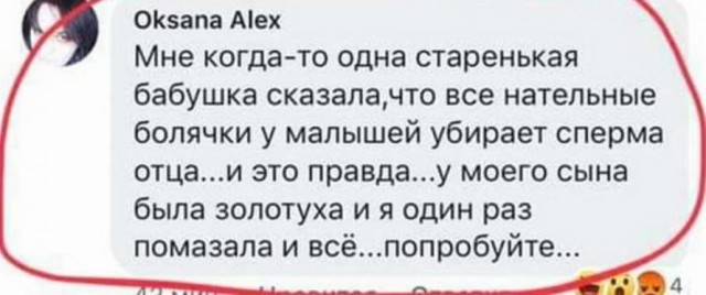 Делаем уроки, бутерброды, охотничью собаку и присоединяем Австрию к России