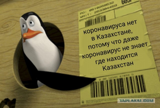 SARS-nCOV2 COVID-19  часть 6