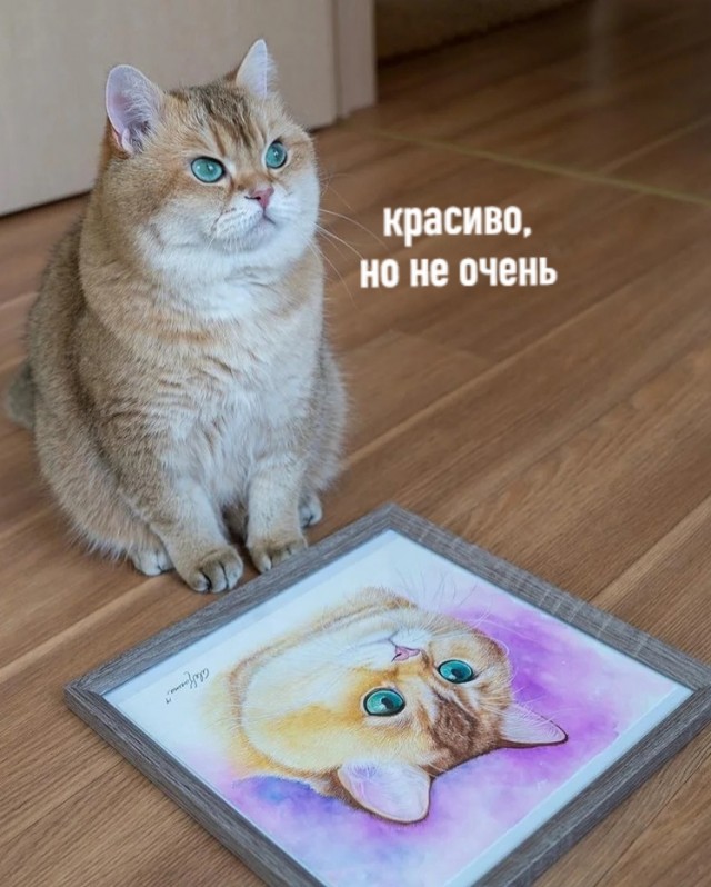 Живность 15.03.20