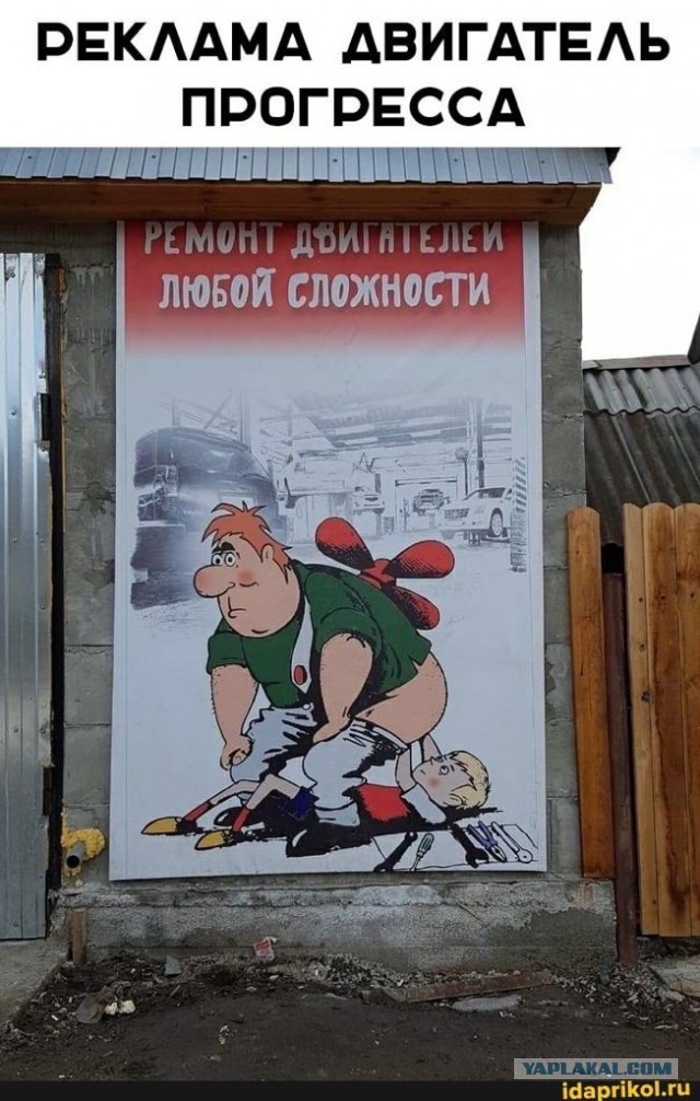 Мужчины научились жить одни. Женщин это сильно злит