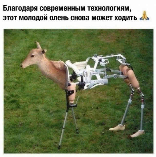 Картинки с надписями и всякие жизненные фразы