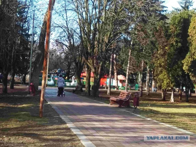 Муж надежд на красивую жизнь не оправдал