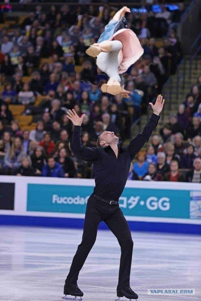 Фотожаба: семья в лесу