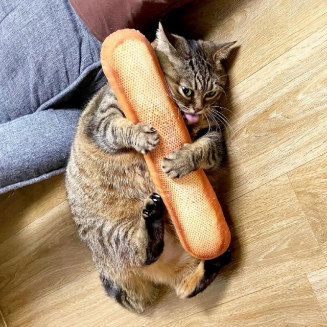 Подборка интересных и веселых картинок 15.03.21