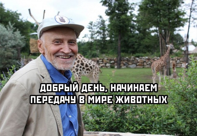 Странные короткие комиксы