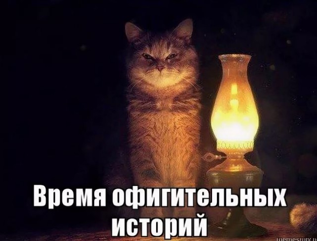 Беспредел власти или попытаться как срубить палку